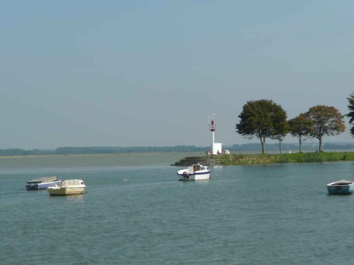 Rose En Baie De Somme * Nouvion-en-Ponthieu