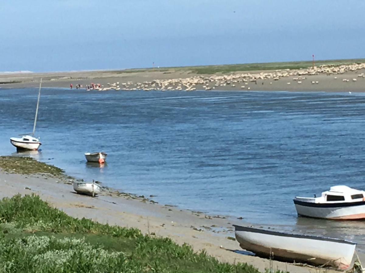 Rose En Baie De Somme *